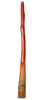 Tristan O'Meara Didgeridoo (TM361)
